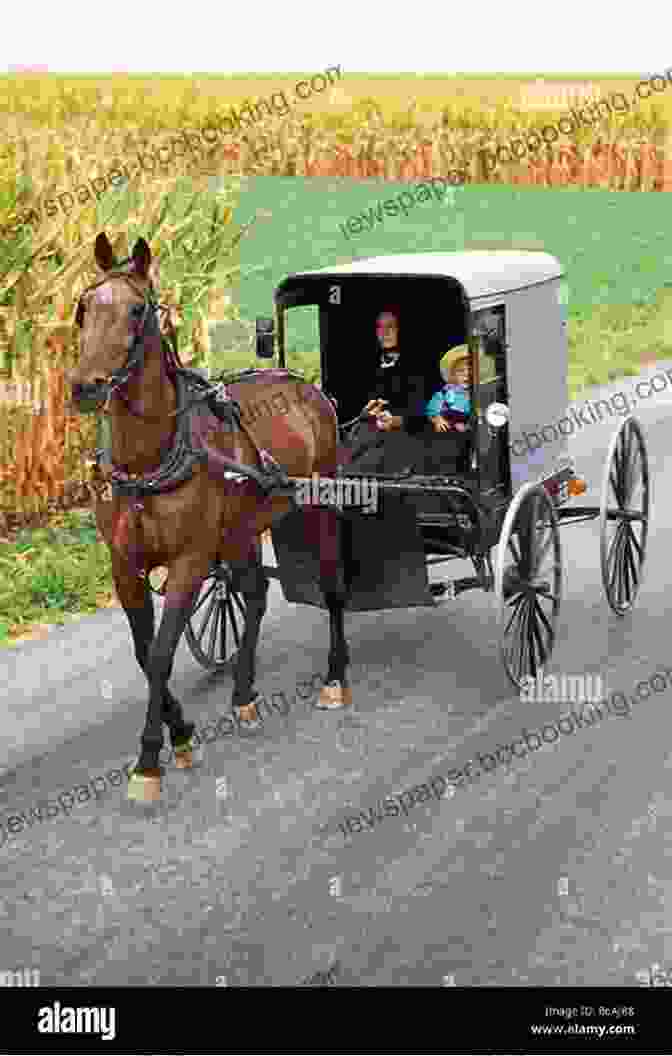 A Horse Drawn Buggy Travels Through A Rural Area Of Lancaster County, Pennsylvania 60 Hikes Within 60 Miles: Harrisburg: Including Cumberland Dauphin Lancaster Lebanon Perry And York Counties In Central Pennsylvania