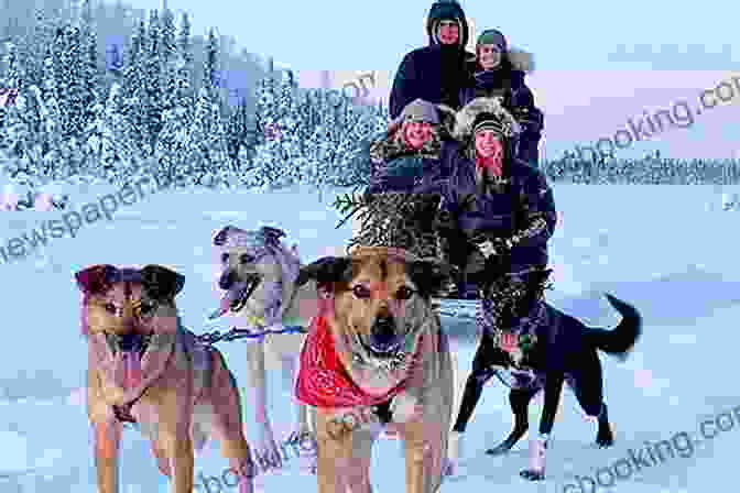 A Musher Cuddling With His Sled Dogs In A Snowy Tent. Beyond Ophir: Confessions Of An Iditarod Musher An Alaska Odyssey