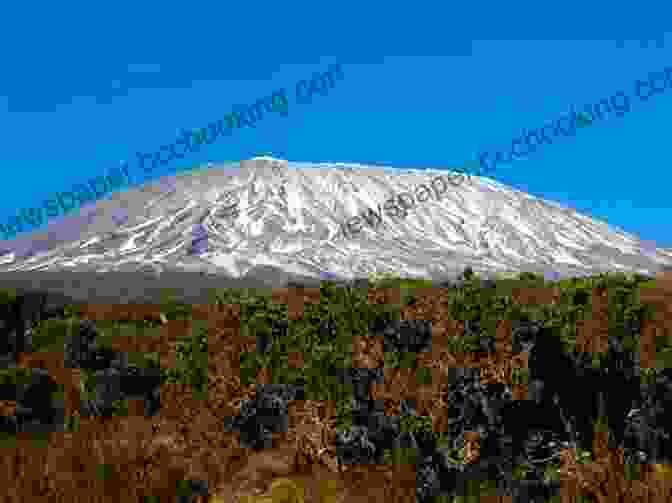 A Photo Of Mount Kilimanjaro Gorge: My Journey Up Kilimanjaro At 300 Pounds