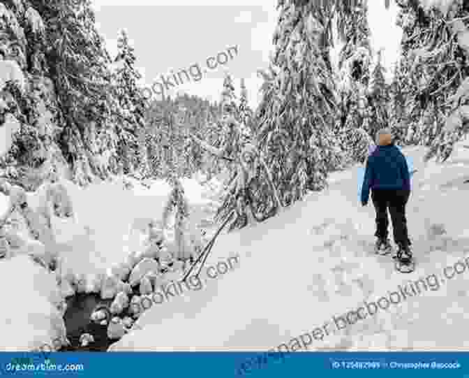 A Snowshoer Admiring The Winter Scenery The Classic Guide To Winter Sports