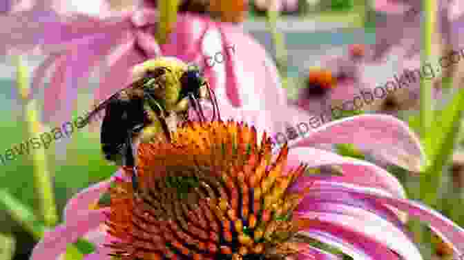 A Vibrant Pollinator Garden Filled With Blooming Flowers And Buzzing Bees Your Self Sufficient Backyard Homestead Garden: Grow More Food With Your Pollinator Garden