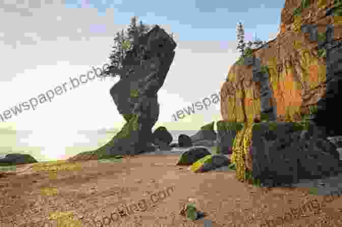 A View Of The Dramatic Cliffs And High Tides Of Fundy National Park. Canadian National Parks: World Tour
