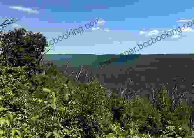 A View Of The Tuscarora State Forest In Perry County, Pennsylvania 60 Hikes Within 60 Miles: Harrisburg: Including Cumberland Dauphin Lancaster Lebanon Perry And York Counties In Central Pennsylvania