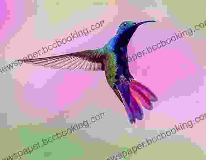 An Exquisite Photograph Of A Hummingbird In Flight, Showcasing The Beauty Of Nature's Smallest And Most Agile Creatures. LaFosse Alexander S Origami Flowers Ebook: Lifelike Paper Flowers To Brighten Up Your Life: Origami With 20 Projects Downloadable Video: Great For Kids Adults