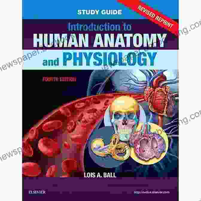 An Introductory Guide To Anatomy And Physiology Book With Diagrams Of Human Body Systems An Introductory Guide To Anatomy Physiology