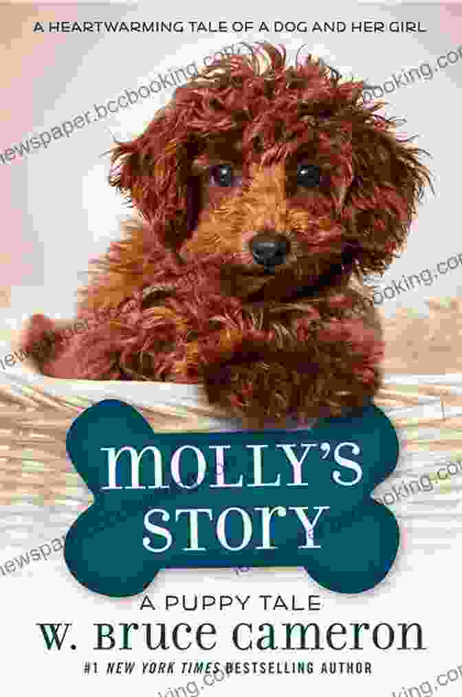 Book Cover Of Molly Story Puppy Tale, Featuring A Cute Puppy Named Molly Exploring A Meadow With Butterflies. Molly S Story: A Puppy Tale
