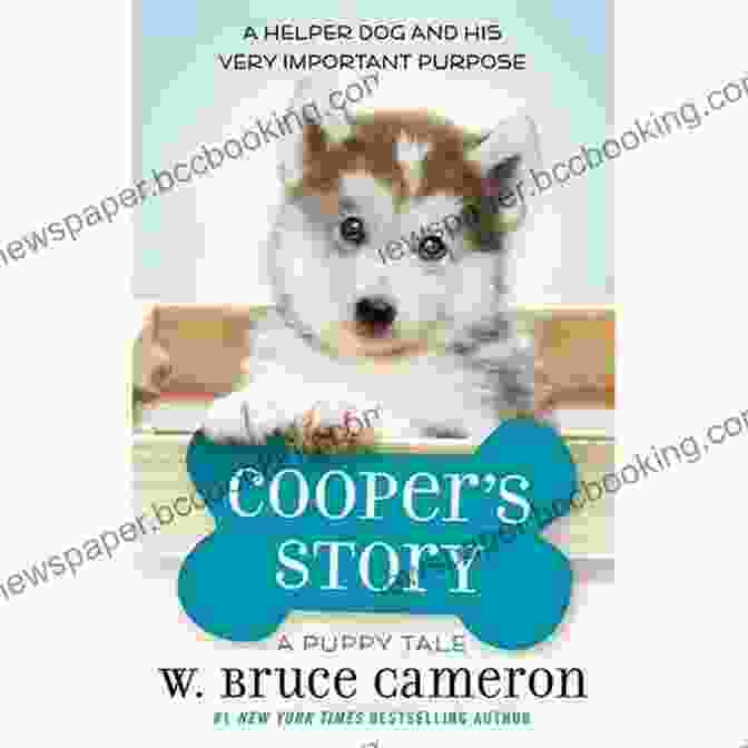 Cooper Story Puppy Tale Book Cover With A Cute Puppy Cooper S Story: A Puppy Tale