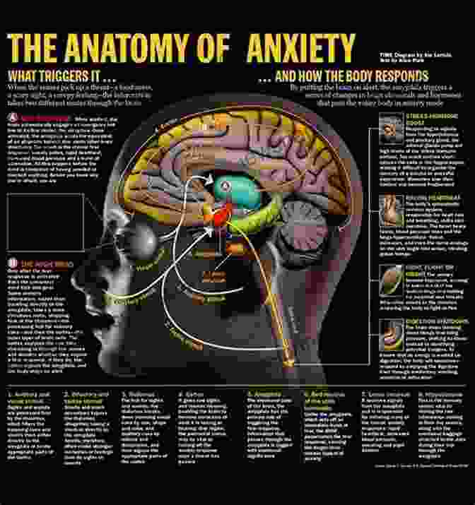 Diagram Of The Brain's Anxiety Response Cognitive Behavioral Therapy: 21 Great Ways To Deal With Anxiety Depression Worry And Panic (Cognitive Behavioral Therapy 1)