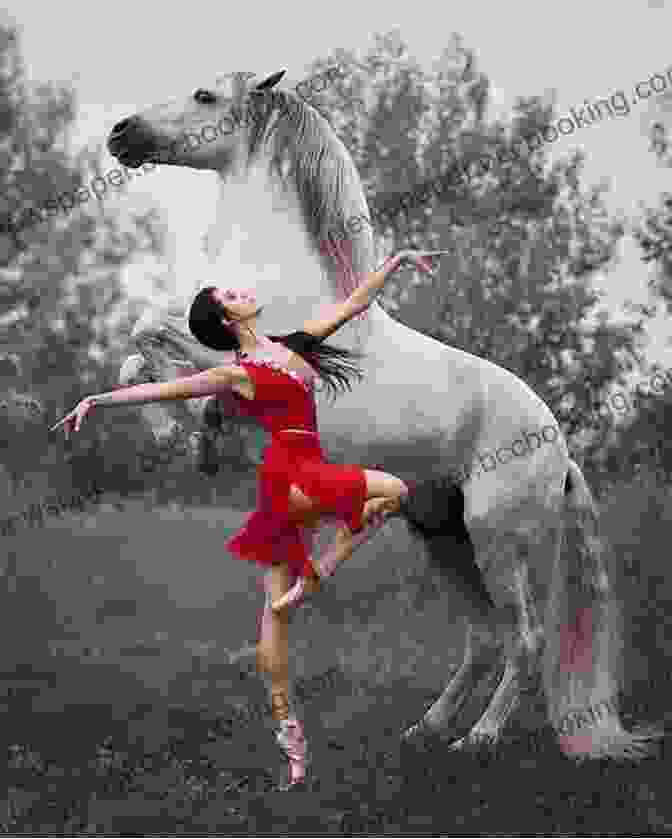 Facebook Join The Dance (Dancing With Horses 2)
