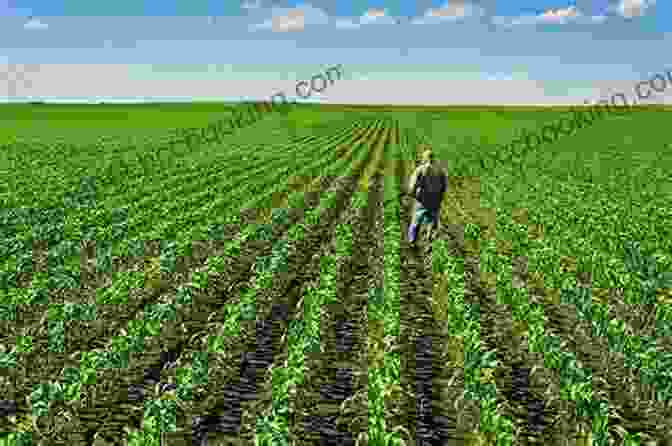 Farmer Inspecting A Field Of Crops The Strategy And Tactics Of Pricing: A Guide To Growing More Profitably