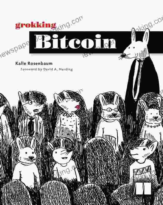 Grokking Bitcoin Book Cover Grokking Bitcoin Kalle Rosenbaum