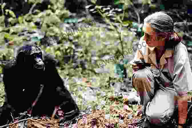 Jane Goodall Observing Chimpanzees In Tanzania Marie Curie And The Power Of Persistence: A (Mostly) True Story Of Resilience And Overcoming Challenges (Women In Science PIcture Biographies For Kids) (My Super Science Heroes)