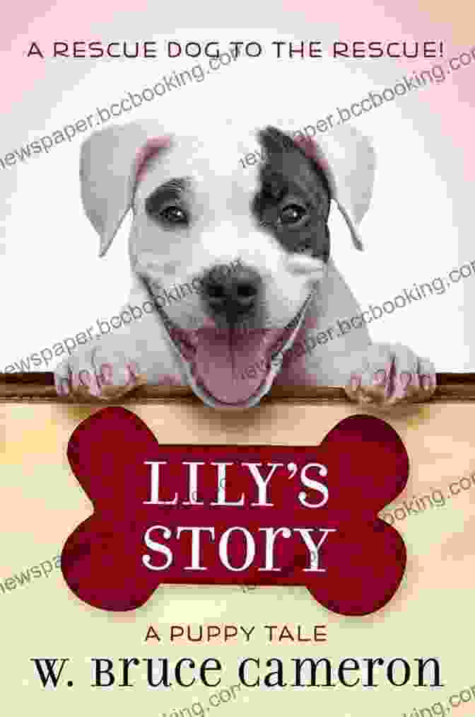 Lily Story Puppy Tale Book Cover Featuring An Adorable Puppy Lily S Story: A Puppy Tale