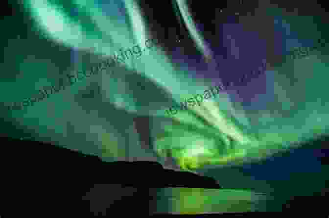 Magical Display Of The Northern Lights A Frog In The Fjord: One Year In Norway
