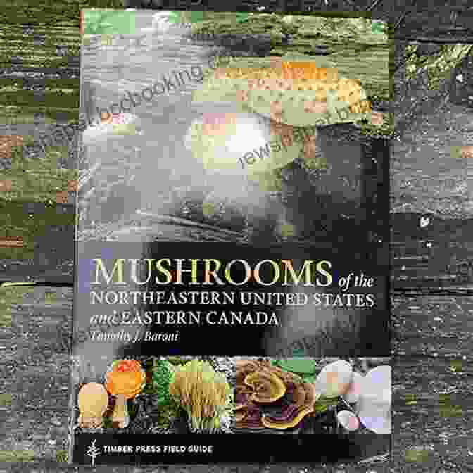 Mushrooms Of The Northeastern United States And Eastern Canada Book Cover Showing A Variety Of Mushrooms In Different Colors And Shapes Mushrooms Of The Northeastern United States And Eastern Canada (A Timber Press Field Guide)