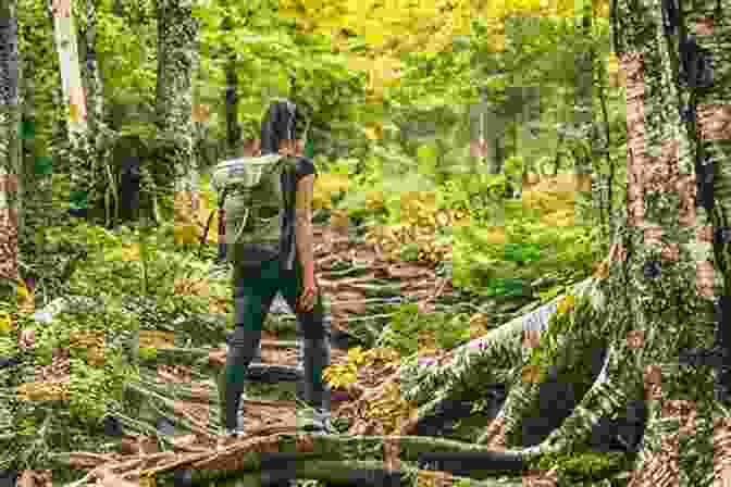 Person Hiking In Nature Replace Your Technology Habit With Healthier Choices