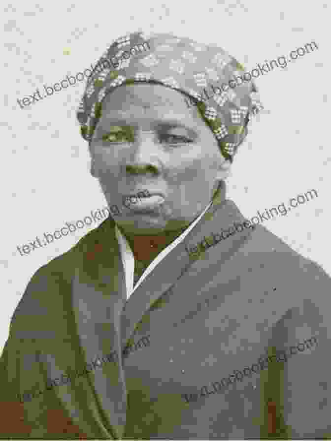 Portrait Of Harriet Tubman Freedom Train North: Stories Of The Underground Railroad In Wisconsin