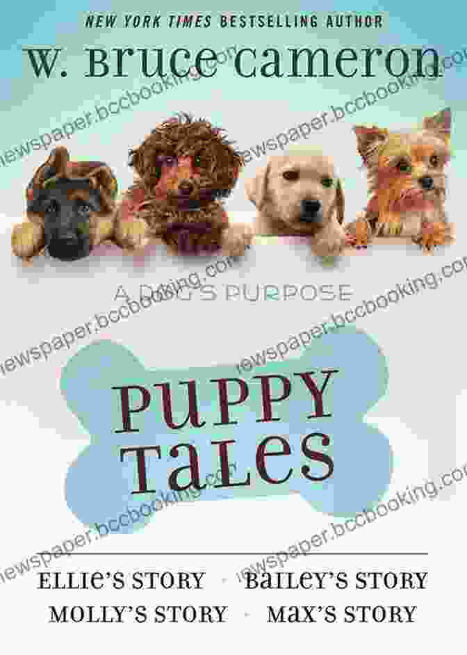 Shelby Story: Puppy Tale Is A Timeless Addition To Any Bookshelf Shelby S Story: A Puppy Tale