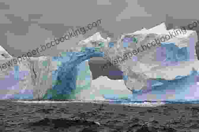 Stunning Ice Formations In Antarctica Naturalists At The Polar Regions Antarctica