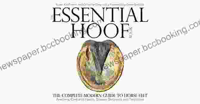 The Essential Hoof Book The Essential Hoof Book: The Complete Modern Guide To Horse Feet Anatomy Care And Health Disease Diagnosis And Treatment