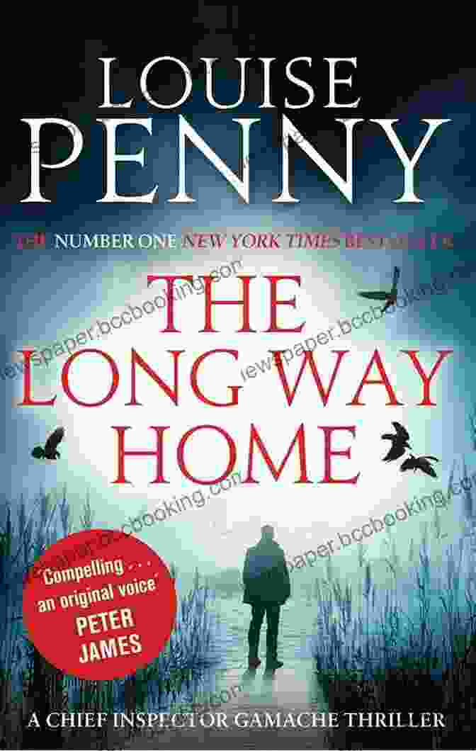 The Long Way Home Book Cover By Author Jane Doe The Long Way Home: How I Won The 1 000 Mile Iditarod Footrace With Persistence Patience And Passion