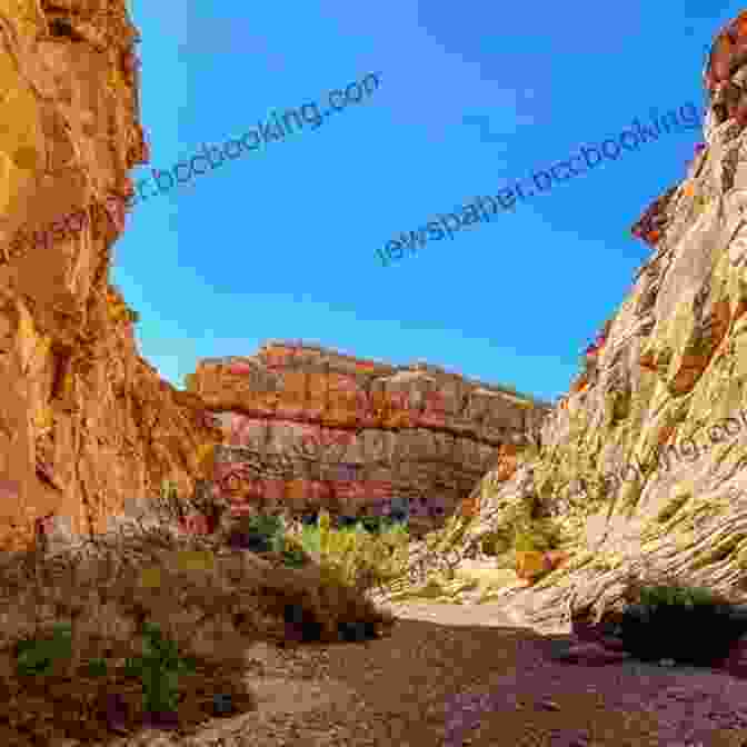 Wild Horse Canyon, A Rugged And Beautiful Landscape Growing Up In Wild Horse Canyon