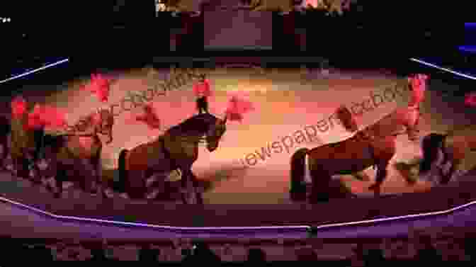 YouTube Join The Dance (Dancing With Horses 2)