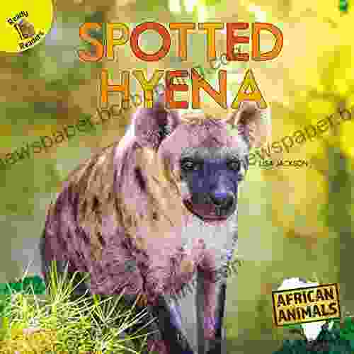 African Animals Spotted Hyena Grades PK 1