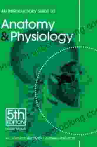 An Introductory Guide To Anatomy Physiology
