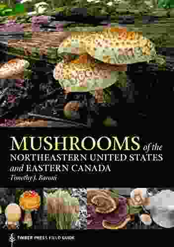 Mushrooms Of The Northeastern United States And Eastern Canada (A Timber Press Field Guide)