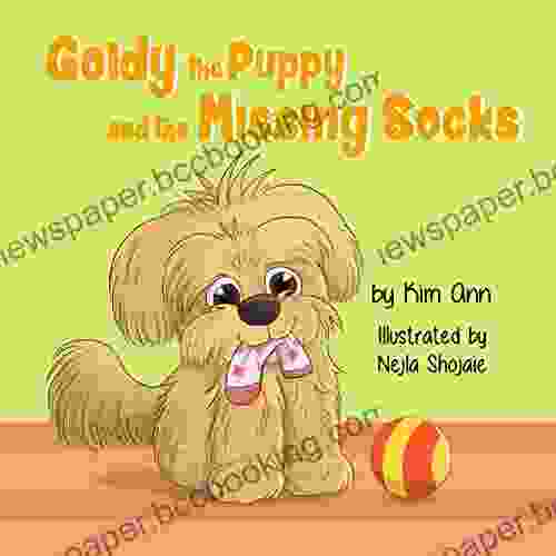 Goldy The Puppy And The Missing Socks