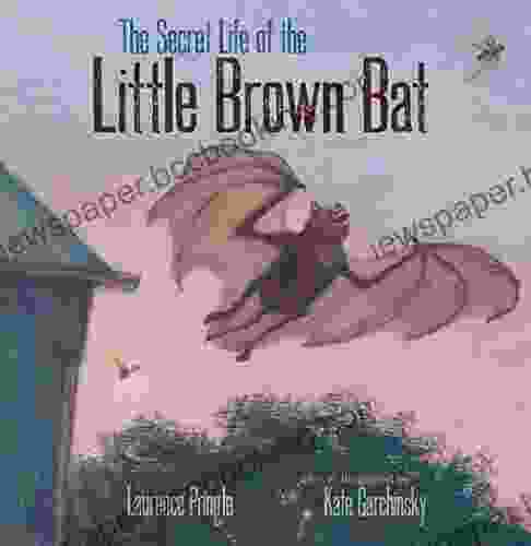 The Secret Life Of The Little Brown Bat