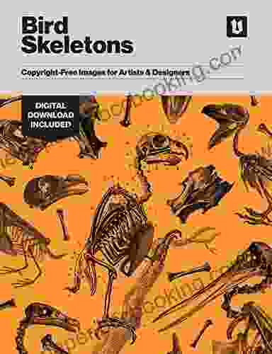 Bird Skeletons: Copyright Free Images For Artists Designers